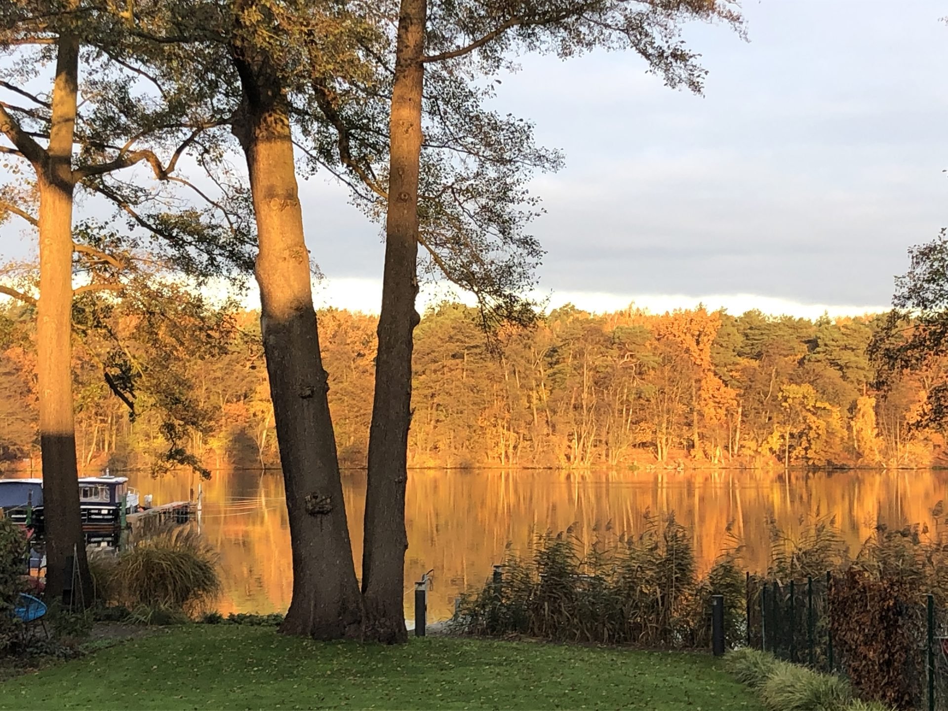 Herbstlicher Uferblick am Großen Zug