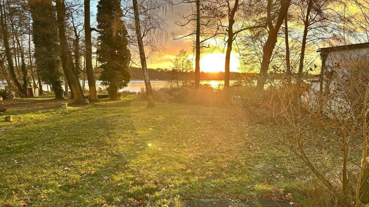 Garten mit altem Baumbestand im Abendlicht, Blick zum Krüpelsee