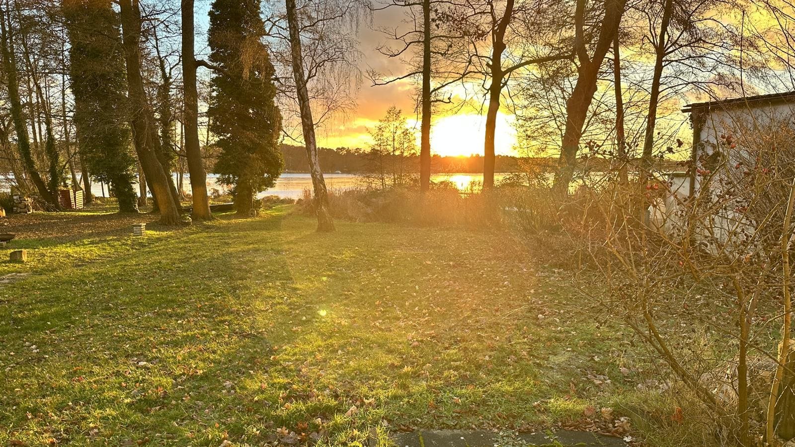 Garten mit altem Baumbestand und Seeblick in der Abenddämmerung