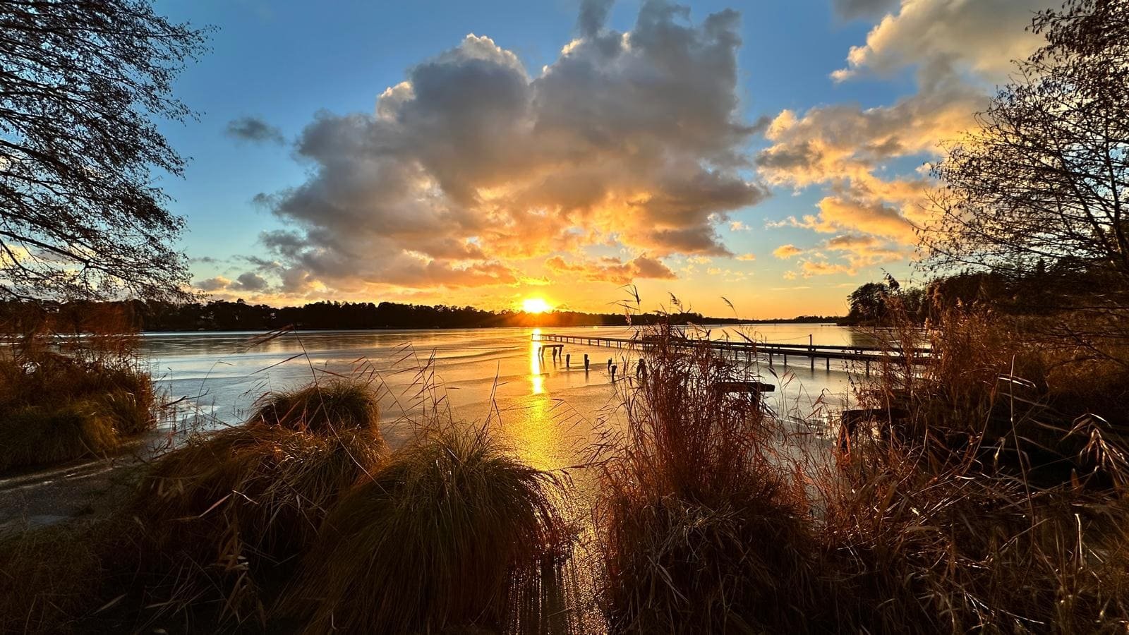 Steg im Schilf bei Abenddämmerung am Krüpelsee